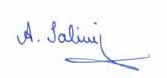 Unterschrift A. Salimi
